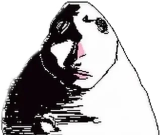 Video sticker 🌟 Hamsters 🐹