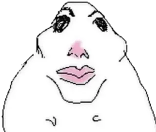 Telegram sticker 🌟 Hamsters 🐹