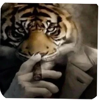 Telegram sticker ✋ ЭММ ГАЙС?