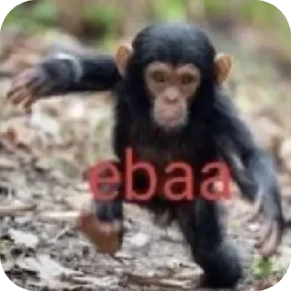 Telegram sticker 👍 ЭММ ГАЙС?