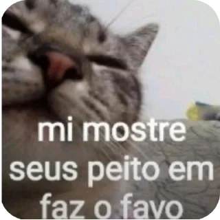 Video sticker 🍒 Theo's Pack