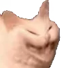 Video sticker 😂 для девочек