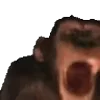 Video sticker 🦍 для девочек