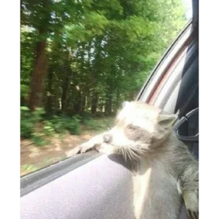 Sticker 🖕 어떤곳일까...