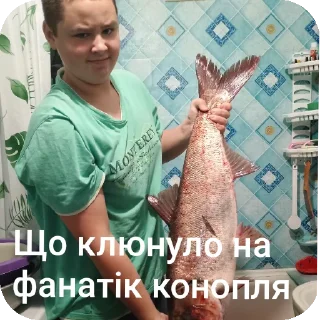 Telegram sticker 🏞 Артьом абсолют