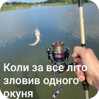 Telegram sticker 🏞 Артьом абсолют