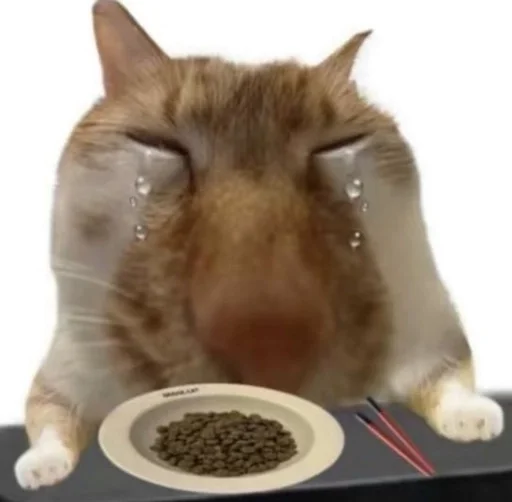 Телеграм стикер 🌟 sé. pack :: @fStikBot