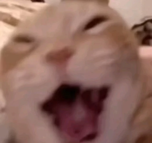 Телеграм стикер 🌟 sé. pack :: @fStikBot