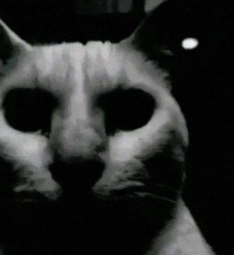 Телеграм стикер 🌟 sé. pack :: @fStikBot