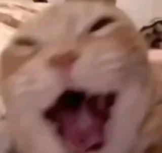 Telegram sticker 🌟 sé. pack :: @fStikBot