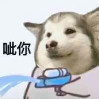 Telegram sticker 😝 偏爱小贴纸