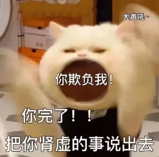 Telegram sticker 🐱 偏爱小贴纸