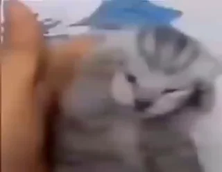 Video sticker 🥴 хлебный мякиш by @offstikbot