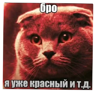 Telegram sticker 👍 ㅤ