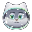 Video sticker 👨‍🚀 Sber by @aleks_gpt