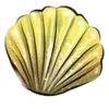 Video sticker 🐚 TideFlow