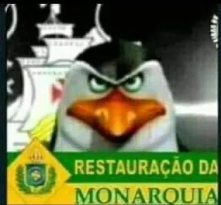 Video sticker 🦆 Bibonunes