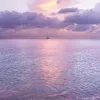 Video sticker 🤩 lilac aesthetics b...