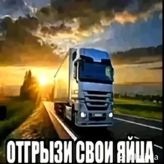 Телеграм стикер 🤥 писсуары