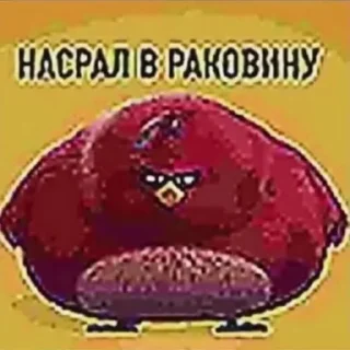 Video sticker 🫣 писсуары