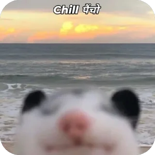 Video sticker 🫥 Made by Vivaan