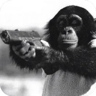 Telegram sticker 🫥 Compare y Venta