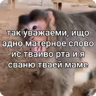 Video sticker 🌟 Больше стиков тут: @stikery4