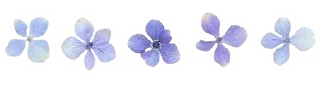 Telegram sticker 🪐 ich liebe dich | @ichliebez :: @fStikBot