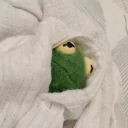 Telegram sticker 🚼 Kermit stfu