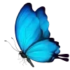 Sticker 💙 @corde_lia @cordeliasticker :: @fStikBot