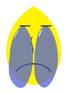 Video sticker 😥 Egg @stickersb2b