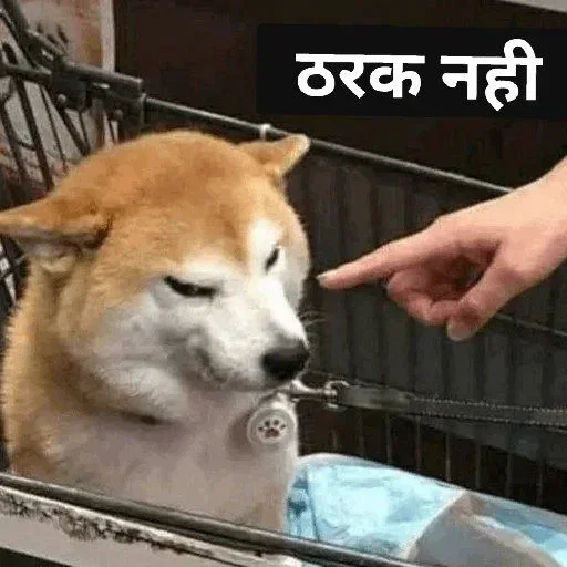 Telegram sticker 😶 @jee_neet_rifles