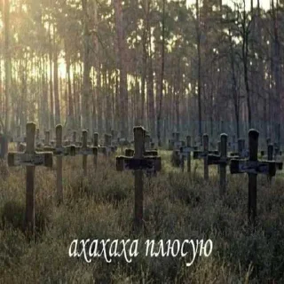 Video sticker 🙈 экстаZzv.1