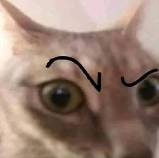Telegram sticker 🤨 абоба. :: @fStikBot