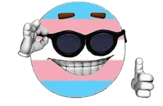 Video sticker 😎 Femboy & yuri nazism