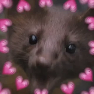 Sticker 💗 martens