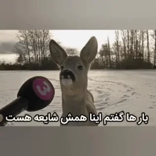 Video sticker 👎 Toxic 2 ☠ Animals by @Frostystickers