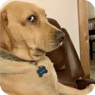 Telegram sticker 🫥 PazitaMj