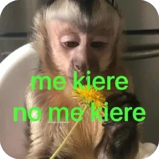Video sticker 🫥 PazitaMj