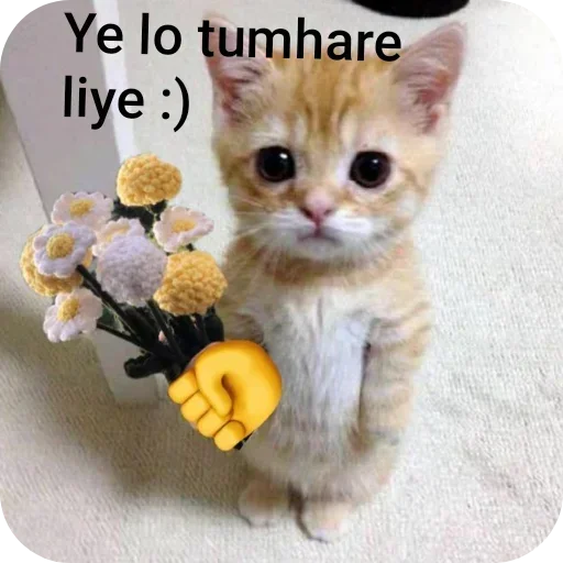 Telegram sticker 🐱 Adi