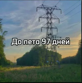 Video sticker ☀️ До лета осталось... @MoiStikiBot