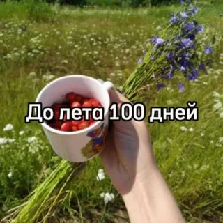 Sticker ☀️ До лета осталось... @MoiStikiBot
