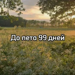 Video sticker ☀️ До лета осталось... @MoiStikiBot