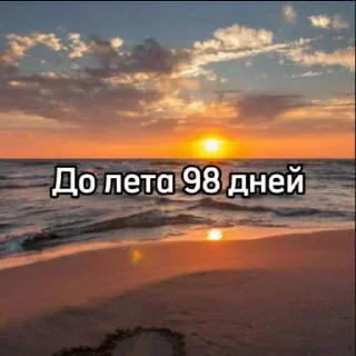 Video sticker 😜 До лета осталось... @MoiStikiBot