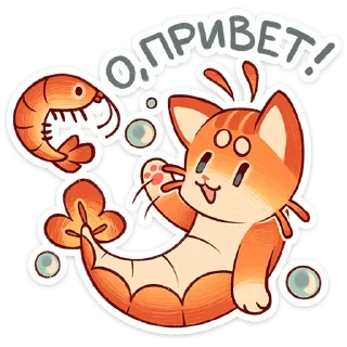 Video sticker 😥 Криль от @TgSticker