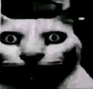 Telegram sticker 😶 TikTok comments @MoiStikiBot