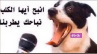 Video sticker 🚫 @MJEED_24's_1