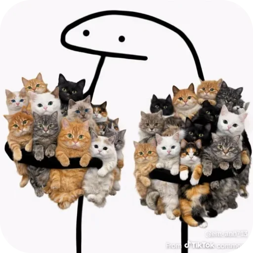 Sticker 🐱 meow