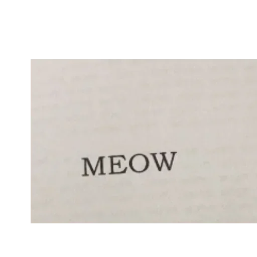 Телеграм стикер 🔥 meow