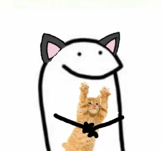 Video sticker 🐱 meow